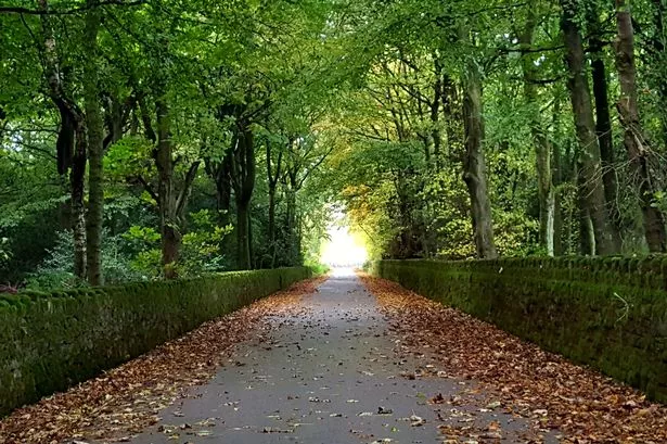Autumn in Huddersfield: Readers share their beautiful pictures