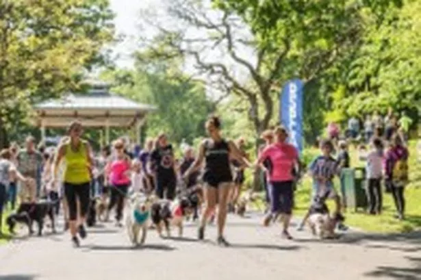 Beaumont Park Doggy Dash will give owners a run for their money