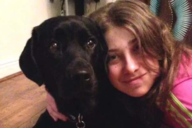 Can you help reunite Elland teenager with her missing 'lifeline' dog Velvet?